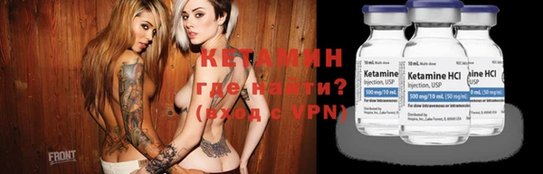 индика Алексин