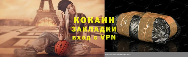 индика Алексин