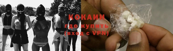 индика Алексин