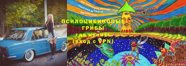 индика Алексин