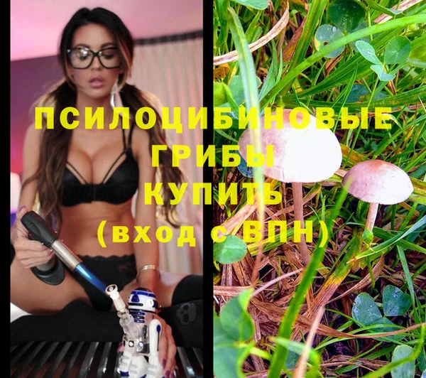 кокс Алзамай