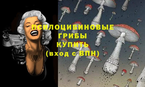 индика Алексин