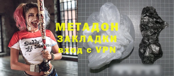 индика Алексин
