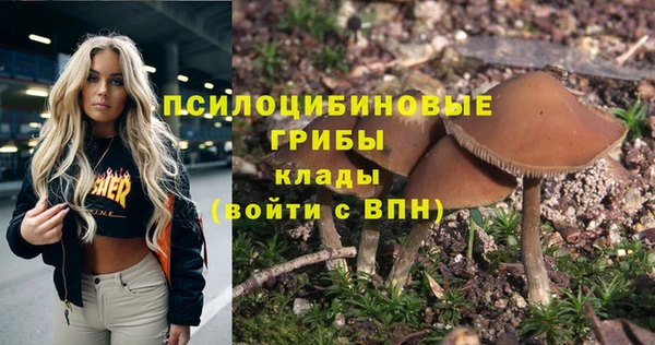 винт Алексеевка