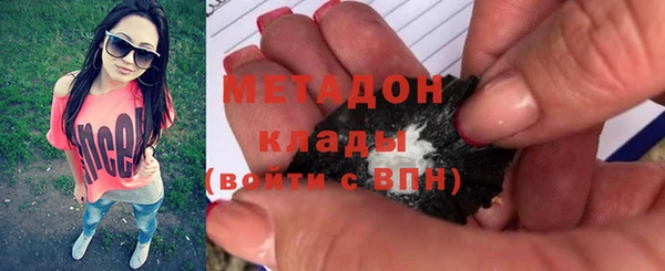 индика Алексин