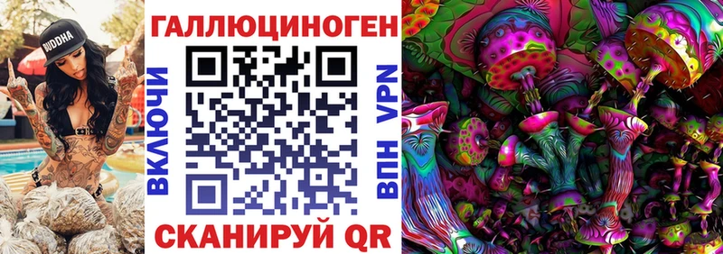 kraken   Саров  Псилоцибиновые грибы Psilocybe 